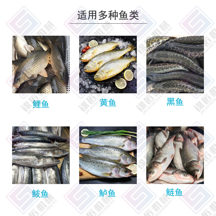 魚類開背機