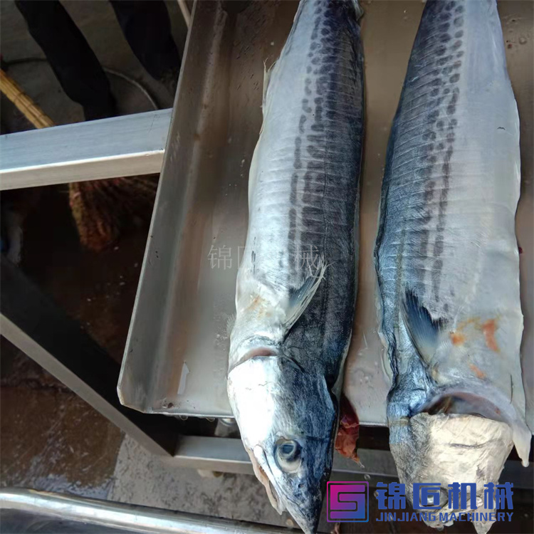 魚類開背機